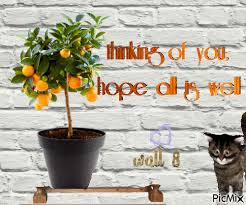 Hope all is well with you. Thinking Of You Hope All Is Well Picmix