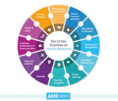 Providing financial planning, insurance, and investment services to clients. The 12 Key Functions Of Human Resources Aihr Digital