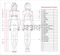 Women Body Measurements Chart Kozen Jasonkellyphoto Co