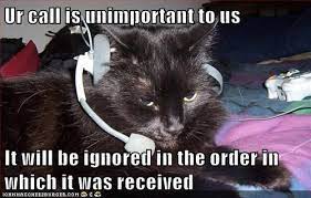 Call Center Cat Funny Animal Memes Funny Animal Pictures Cats