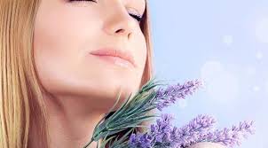 Lavanta Yagi Neye Iyi Gelir Lavanta Yaginin Cilde Ve Saca Faydalari Anti Aging Krem Yaslanma Cilt Bakimi