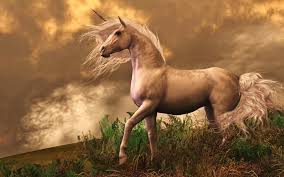 Maybe you would like to learn more about one of these? Unicornios Reales Encontrados Deunicornios Online