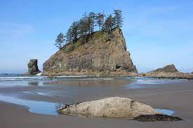 See full list on alltrails.com Schonster Strand Weit Und Breit Second Beach Trail Olympic Nationalpark Reisebewertungen Tripadvisor