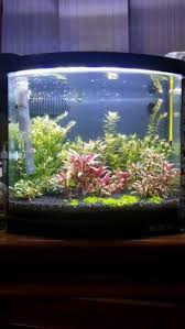 Diy led hpl aquascape untuk pemula video berisi tutorial merangkai lampu led hpl, dari nol sampai jadi, langkah demi langkah. Jual 159 Led Aquascape Diy Lampu Watt Kisaran Harga Rp 423ribu Inkuiri Com