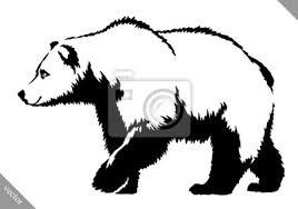 Schwarz Weiss Tinte Zeichnen Baren Vektor Illustration Fototapete Fototapeten Cut Out Grizzlybaren Realistisch Myloview De