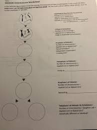 Match the term to the description prophase interphase telophase the sister chromatids are moving apart. Solved Date Meiosis Chromosome Worksheet In The Meiosis Chegg Com