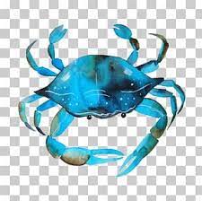 Watercolor Animal Png Images Watercolor Animal Clipart Free Download Blue Crab Watercolor Animal Clipart Free Crab Watercolor