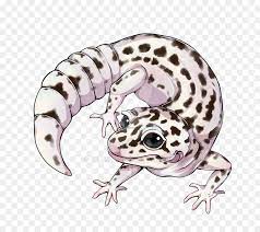 We did not find results for: Frog Cartoon Png Download 800 800 Free Transparent Gecko Png Download Cleanpng Kisspng