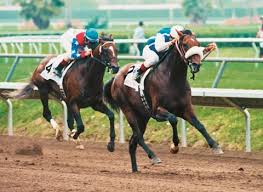 BloodHorse