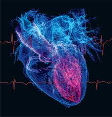 Image result for Antiarrhythmic