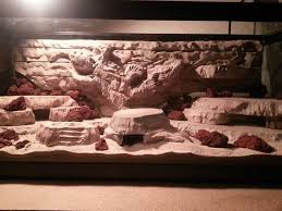What should be the background for a reptile tank? Bearded Dragon Custom Tank Www Macj Com Br