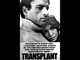 All 36 Bibi Movies (in Order)