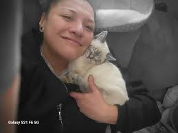 Lost cat in Englevale area