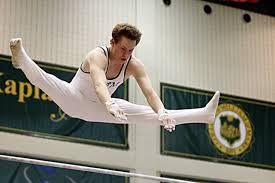 COLLEGE GYMNASTICS ASSOCIATION