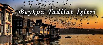 Fransızca misafir kabul edilen yer anlamına gelen salon kelimesinden geliyor. Webvilla Yazar Tadilat Isleri