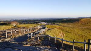 トリップアドバイザー