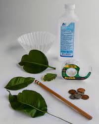 Laporan hasil penelitian penelitian unggulan uny (multitahun). 10 Percobaan Menarik Tentang Tumbuhan Percobaan Sains Terbaik