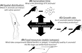 Synopsis Of The Different Research Facets And Their Related Questions Download Scientific Diagram