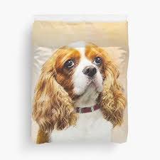 I have searched for a bedspread here in western australia which would cover our new pillow top king size bed to no avail. Cavalier King Charles Spaniel Duvet Covers Redbubble