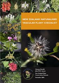 Image result for Micrargeria filiformis