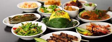 dinner menu kantjil de tijger indonesisch restaurant in amsterdam 음식 음식 일러스트