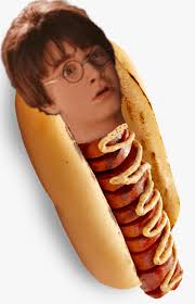 You're a Glizzard, Harry : r/HarryPotterMemes