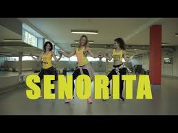 Dj Pa 2019 Shawn Mendes Camila Cabello Senorita Remix Golectures Online Lectures • 959 mln prosmotrov 3 goda nazad. golectures