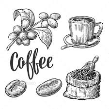 Coffee Coffee Bean Art Coffee Drawing Coffee Beans Photography