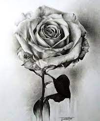 Drawing realistic flower drawing flower realistic flower realistic drawing floral background decorative decoration ornate ornament flowers nature decor symbol artistic ornamental element flora backdrop plant colorful botanical sketch natural template icon painting blossom petal color petals. 10 Hyper Realistic Drawings Sky Rye Design Beautiful Flower Drawings Pencil Drawings Of Flowers Realistic Flower Drawing