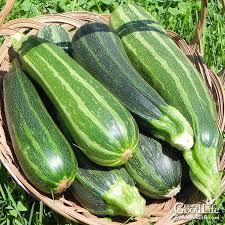 Learn how to grow zucchini to have a bountiful harvest throughout the season. Preserve Zucchini 3 Ways