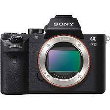 12 Best Cameras For Wildlife Photography 2021 World Birds