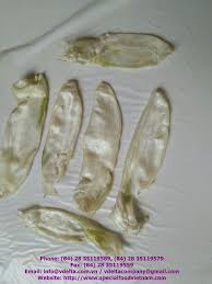 Dried Pangasius Raw Sellers Sea Bass Fish Maw Fresh Type Sea Bass Bass Fishing Fish