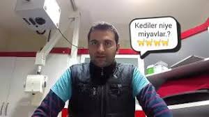 Kedi Neden Miyavlar Kedim Niye Miyavlar Youtube
