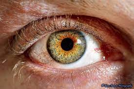 Self Portrait Macro Eye 105mm Macro Photography Eyes Eyes Eye Drawing
