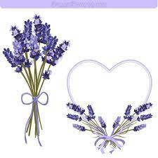 Lavender Flower Frame And Clipart 300 Dpi Png Printable Lavender Illustration Flower Frame Jewelry Logo Design Clip Art