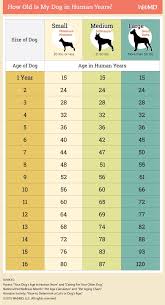 How To Calculate Your Dogs Age Dogs Dog Age Chart Dog Ages