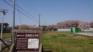 ぶんバス 万葉けやきルート コンプリート 山ぶろぐ