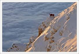 La Meteo Avec Webcam Live A Gresse En Vercors On Voit Meme Le Gite