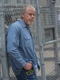 Brandon was always a keen person ever since he was young. Interview Actor Ron Perlman Author Of Easy Street The Hard Way Npr