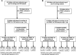 Hepatitis B Virus Vaccine Induced Cell Mediated Immunity