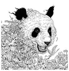 Panda Ausmalbilder Ausmalen Ausmalbilder Lego Superhelden