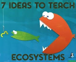 10 Biotic Factors In The Ocean 7 Ideas To Teach Ecosystems And Food Webs Science Lessons Science Penguin Middle School Science