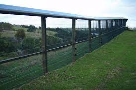 Predation by wild dogs and dingoes. Coast Country Keeping Out Pests With Hi Tech Fences