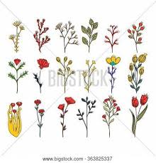 Vector art, clipart and stock vectors. Wild Flower Vector Vector Photo Free Trial Bigstock