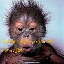 Maybe you would like to learn more about one of these? Guten Morgen Bilder Mit Affen Gb Bilder Gb Pics Gastebuchbilder
