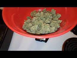 Pin On How To Grow Like Cheaply Like A Pro
