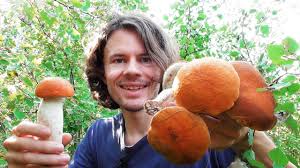 Ժամը քանիսից քանիսն է ճաշից առաջ: Ab In Die Pilze Pilze Sammeln Im September 2020 Youtube