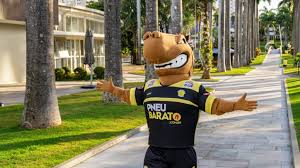 Paula pequena foi vaiada no fim do jogo e trocou. Mascote Do Praia Clube E Batizado Lnf Portal Oficial Da Liga Nacional De Futsal