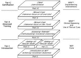 Recovering Function Ndt Courses For Occupational And Physical Therapists Tx Adults With Hemiplegia Physical Therapist Therapist Physics