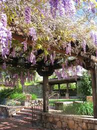 Gartenlaube Und Pergola Begrunen Welche Pflanzen Eignen Sich Pergola Glyzinien Pergola Gartenlaube